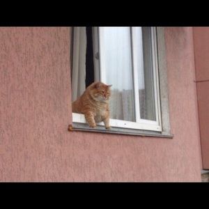 Meet your Posher, Colby